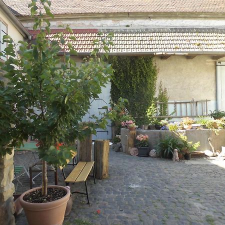 Gaestezimmer Mittelgasse Florsheim-Dalsheim Bagian luar foto