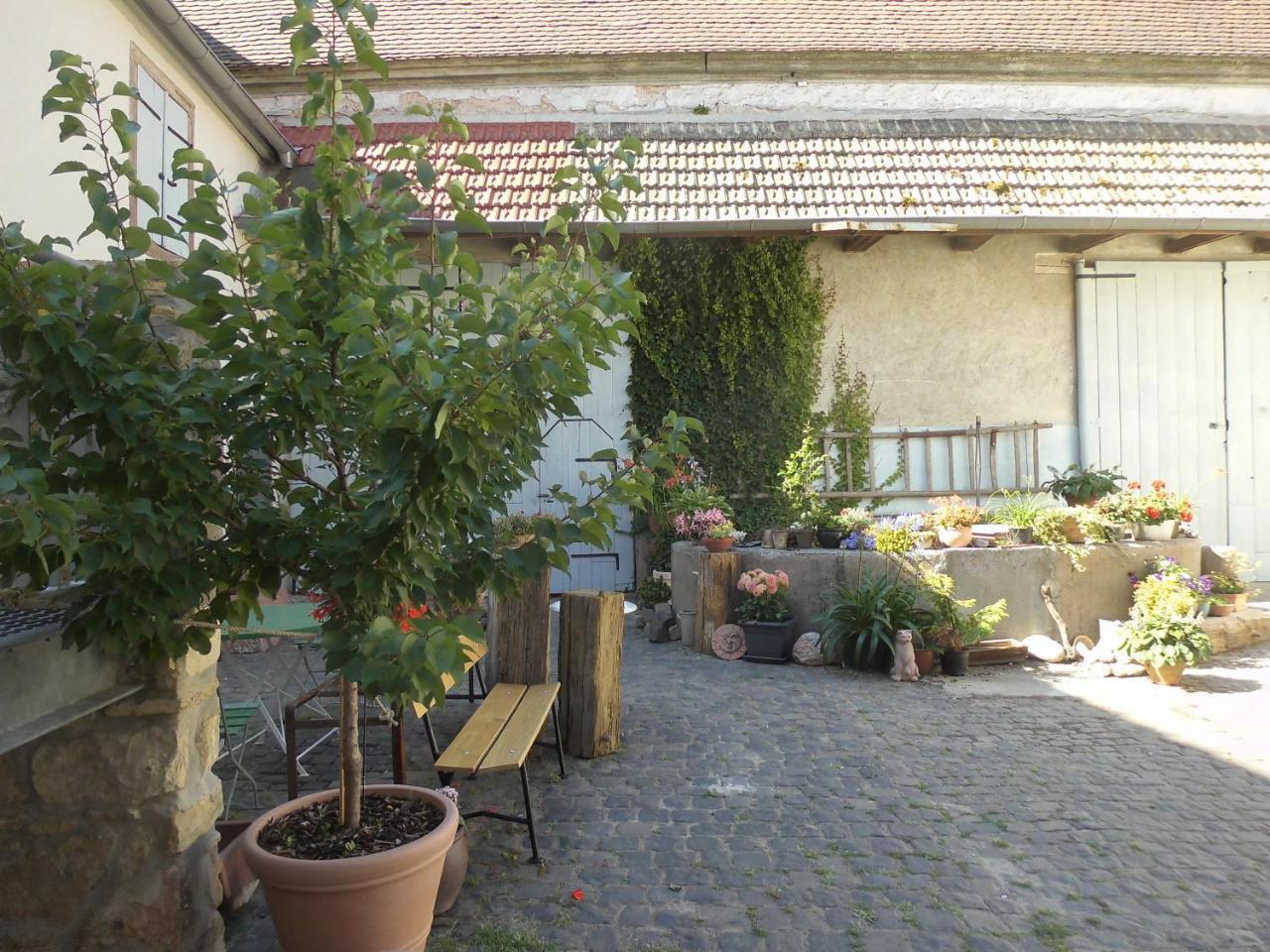 Gaestezimmer Mittelgasse Florsheim-Dalsheim Bagian luar foto
